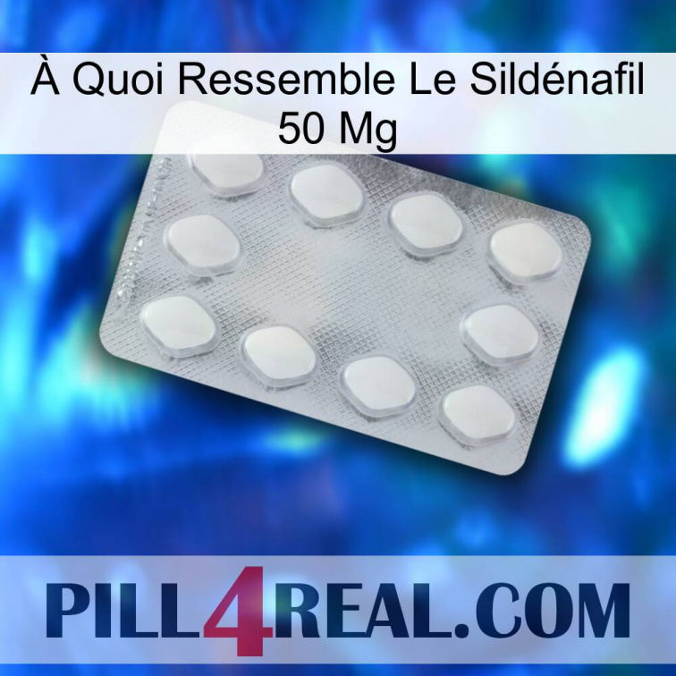 À Quoi Ressemble Le Sildénafil 50 Mg 16